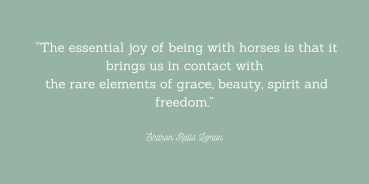 The essential joy of horses 