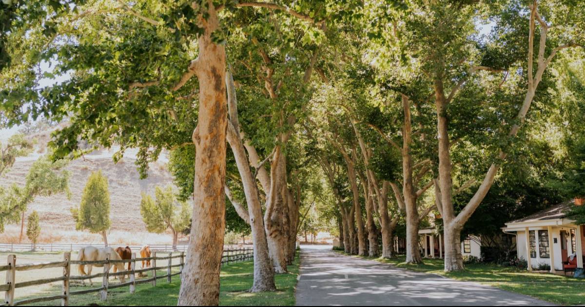 Alisal Ranch, California, USA Resort Ranch vacation Wellness Ranch